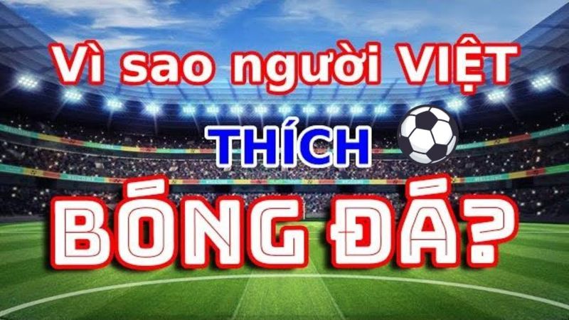 Lý do giải thích tại sao người Việt thích bóng đá